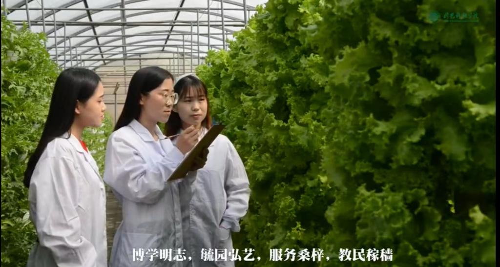 太阳成集团tyc234cc主页招生宣传短片