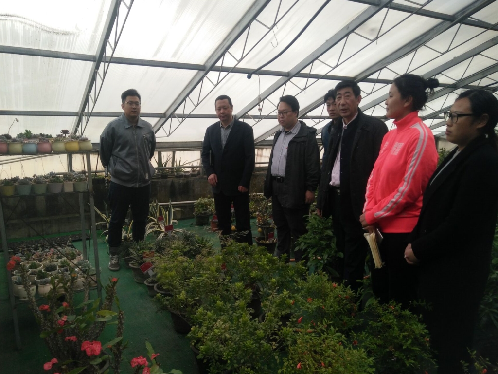 C85465B6608A20886746775BAF043822