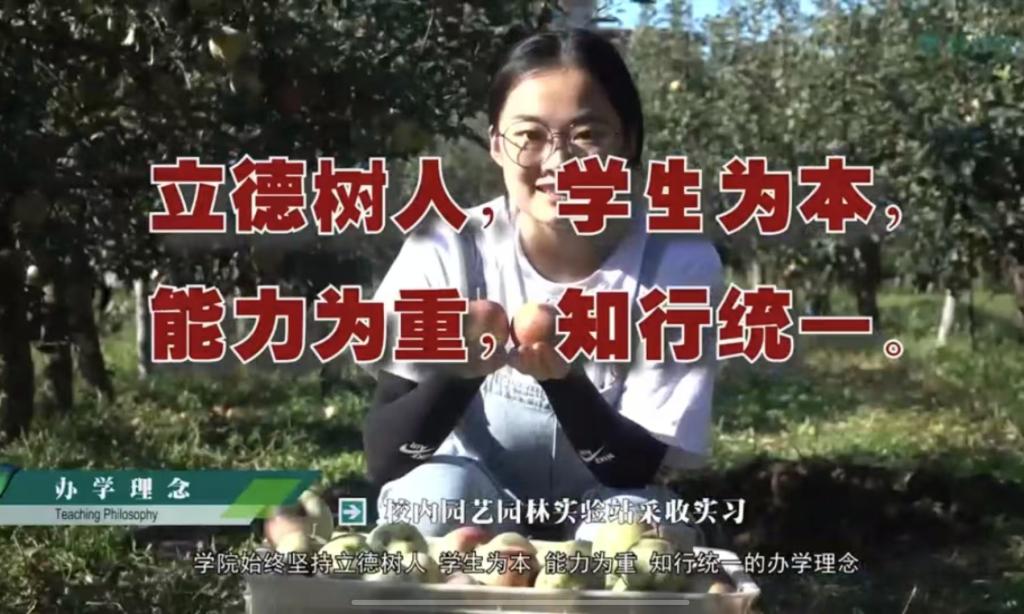 太阳成集团tyc234cc主页宣传片